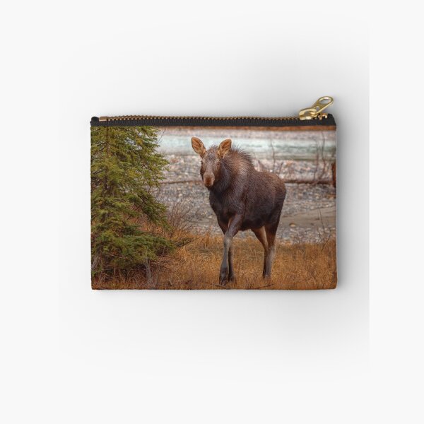 Item preview, Moose Calf designed and sold by James (820Photography) Anderson.