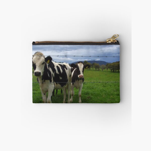 Item preview, curious cows designed and sold by Clare Colins.