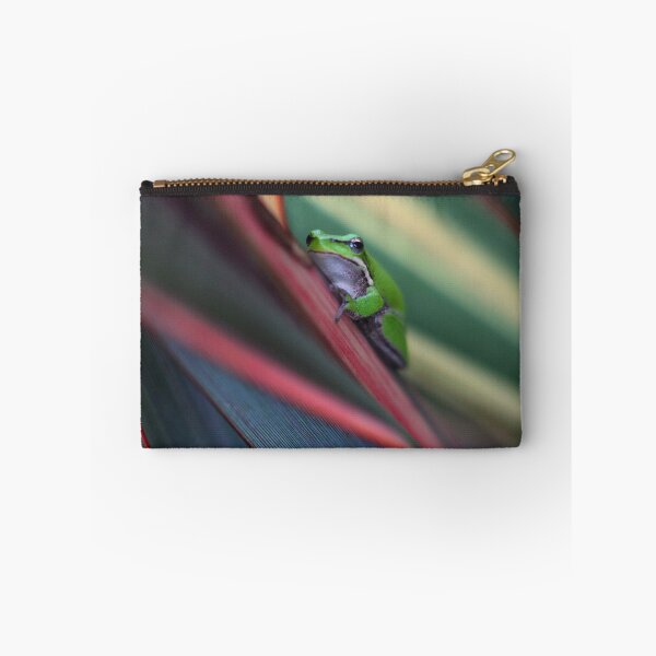 Item preview, Litoria fallax designed and sold by andrachne.