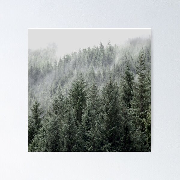 Artikelvorschau, Pine fog forest ll entworfen und verkauft von Shawa Shop.