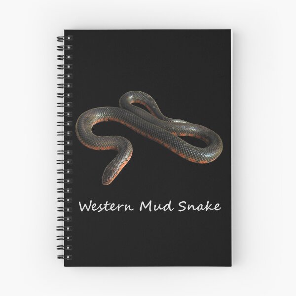 Item preview, Western Mud Snake designed and sold by Paul-Prints.