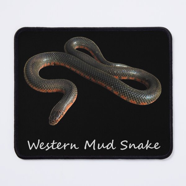 Item preview, Western Mud Snake designed and sold by Paul-Prints.