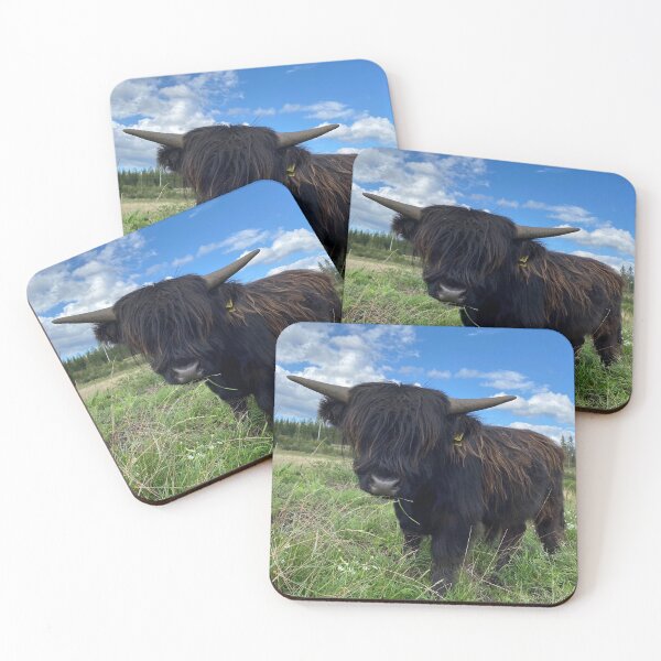 Item preview, Scottish Highland Cattle Calf 2948 designed and sold by SaarelaHighland.