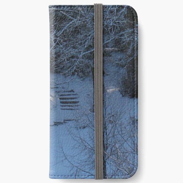 Cutting through the snow iPhone Wallet