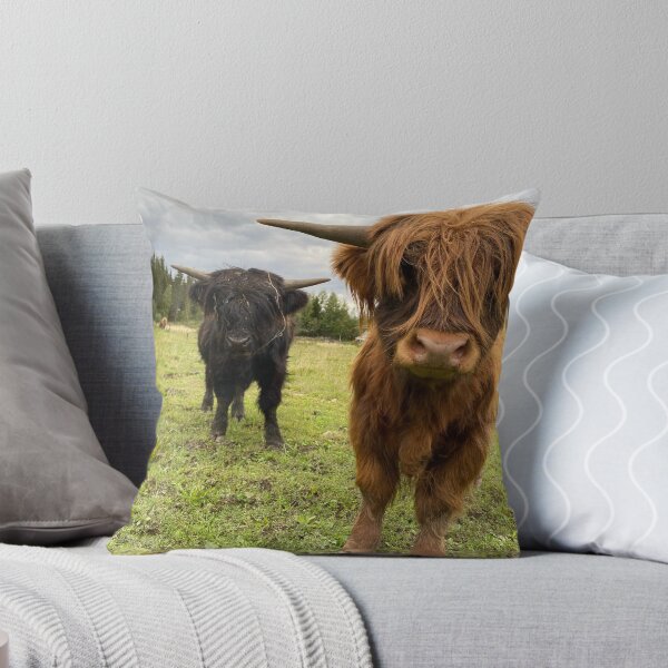 Artikelvorschau, Scottish Highland Cattle Calves 2949 entworfen und verkauft von SaarelaHighland.