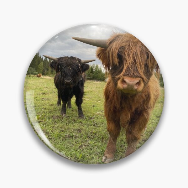 Artikelvorschau, Scottish Highland Cattle Calves 2949 entworfen und verkauft von SaarelaHighland.