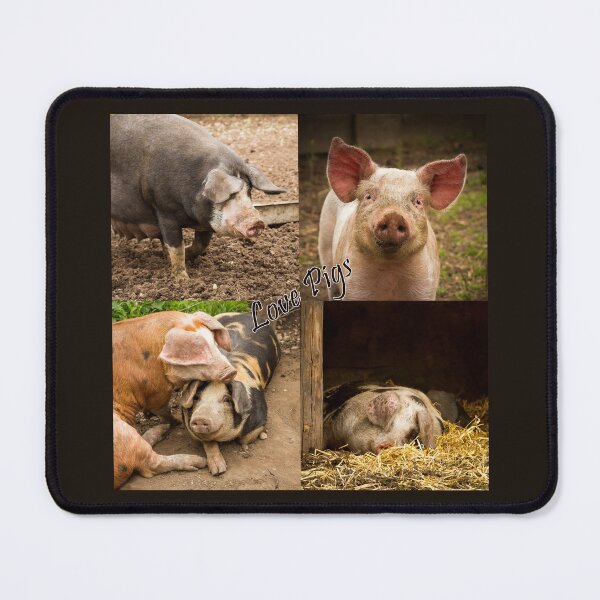 Item preview, Love Pigs designed and sold by Jane Stanley Photography.