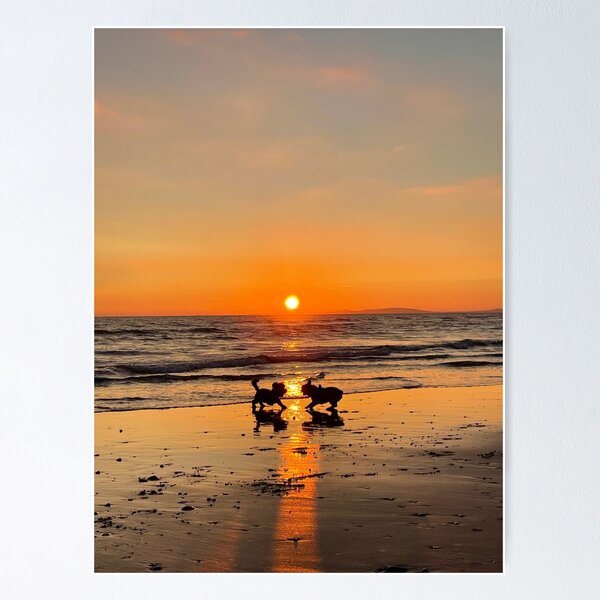 Item preview, Perros al atardecer designed and sold by Sunsetdogs.