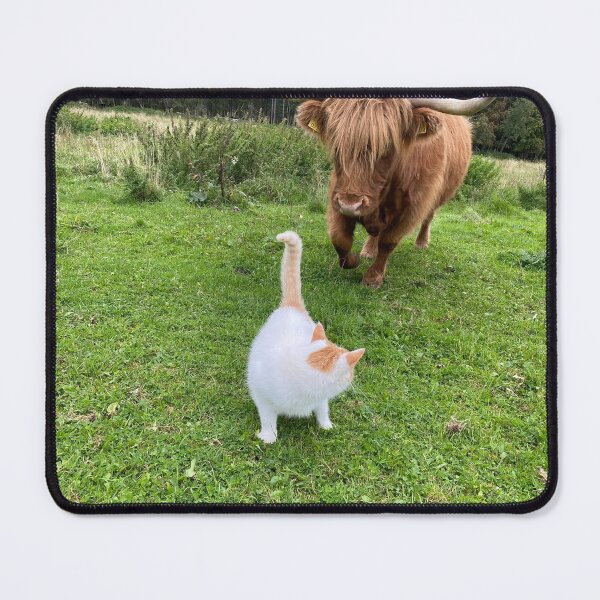 Item preview, Scottish Highland Cattle Cow and white Cat 2951 designed and sold by SaarelaHighland.