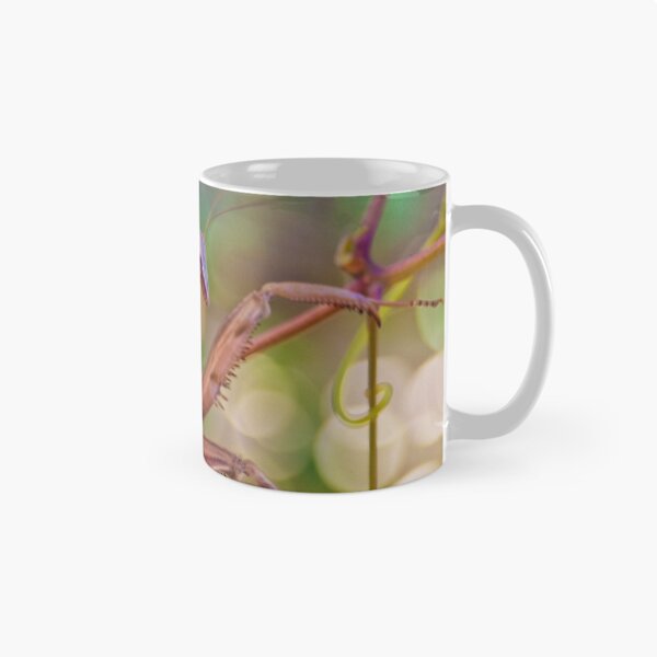 Item preview, Praying Mantis designed and sold by LoganG.