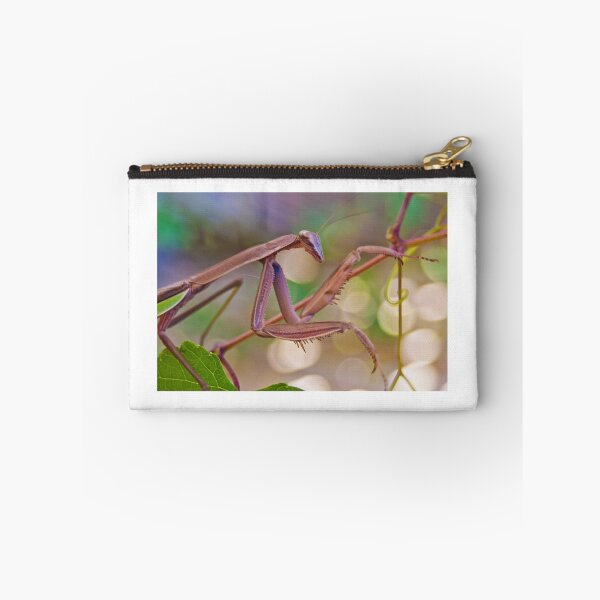Item preview, Praying Mantis designed and sold by LoganG.