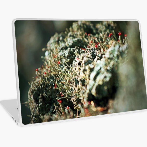 Lichen Bokeh Laptop Skin