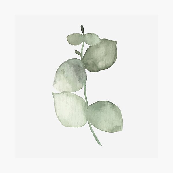 Item preview, Eucalyptus lll designed and sold by Shawa Shop.