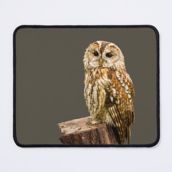 Item preview, Tawny Owl II designed and sold by Jane Stanley Photography.