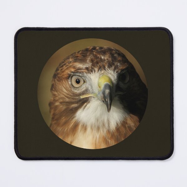 Item preview, Buzzard designed and sold by Jane Stanley Photography.