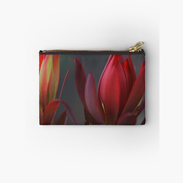 Item preview, Leukadendron salignum. designed and sold by andrachne.