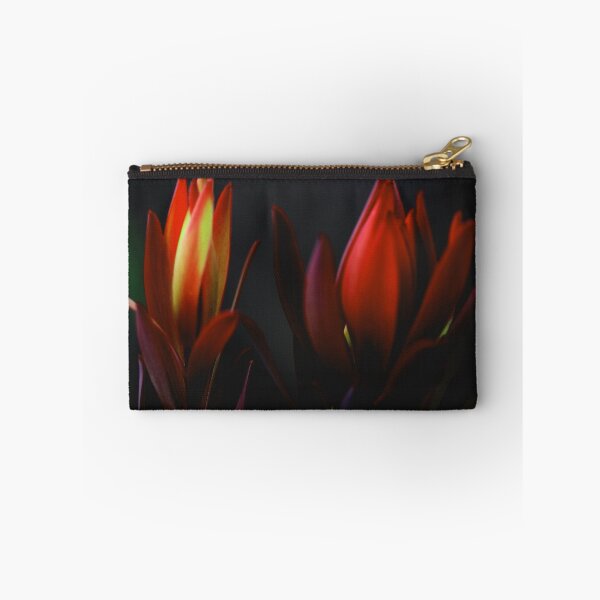 Item preview, Leukadendron salignum. designed and sold by andrachne.