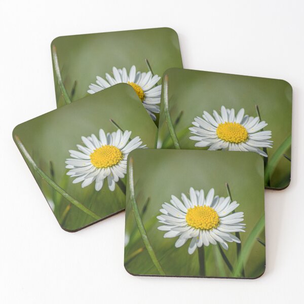 Item preview, Common Daisy designed and sold by AlidaArt.