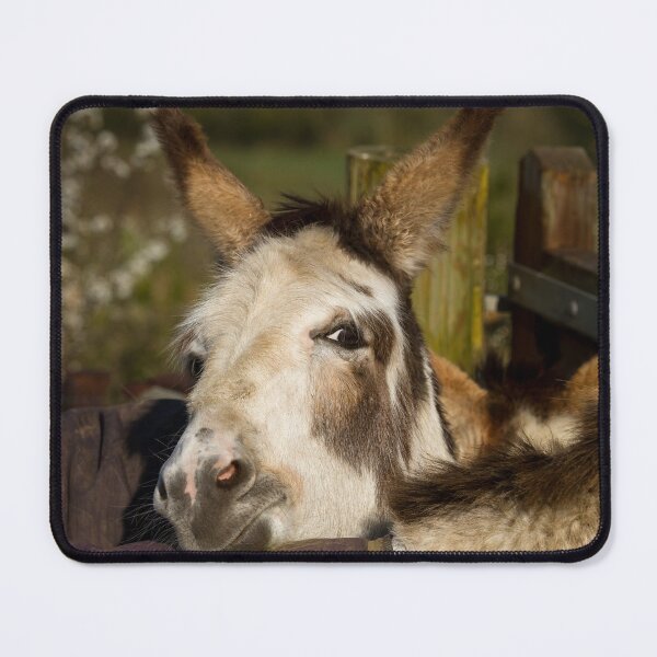 Item preview, Happy Donkey designed and sold by Jane Stanley Photography.