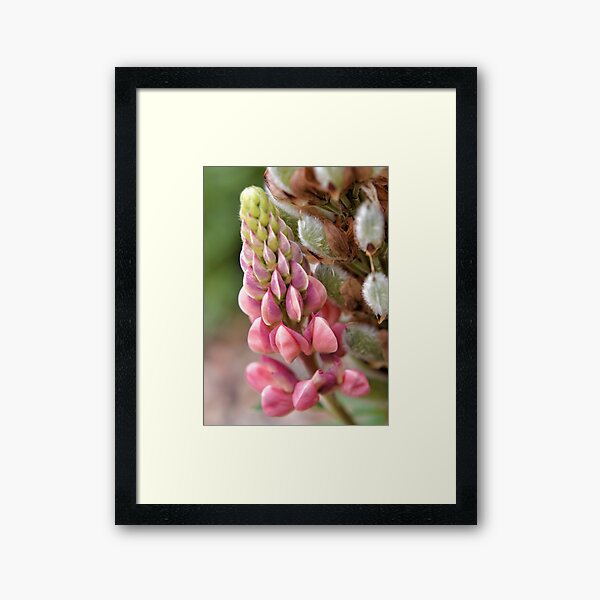 Item preview, Nurture - generation to generation designed and sold by Agnes McGuinness.