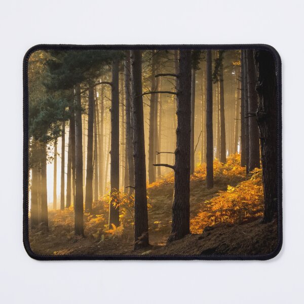 Item preview, Sunset Through the Trees designed and sold by Jane Stanley Photography.