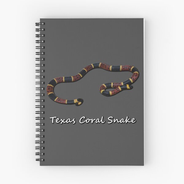 Item preview, Texas Coral Snake designed and sold by Paul-Prints.