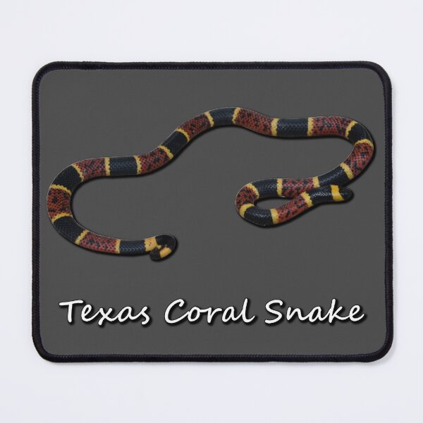 Item preview, Texas Coral Snake designed and sold by Paul-Prints.