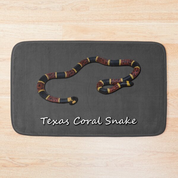 Item preview, Texas Coral Snake designed and sold by Paul-Prints.
