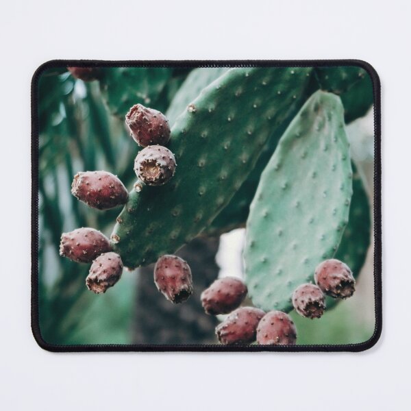 Item preview, SUCCULENT BACKGROUND - CACTUS  designed and sold by Jonsa.