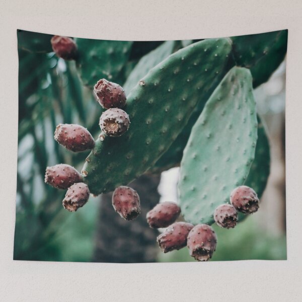 Aperçu de l'œuvre CONTEXTE SUCCULENT - CACTUS créée et vendue par Jonsa.