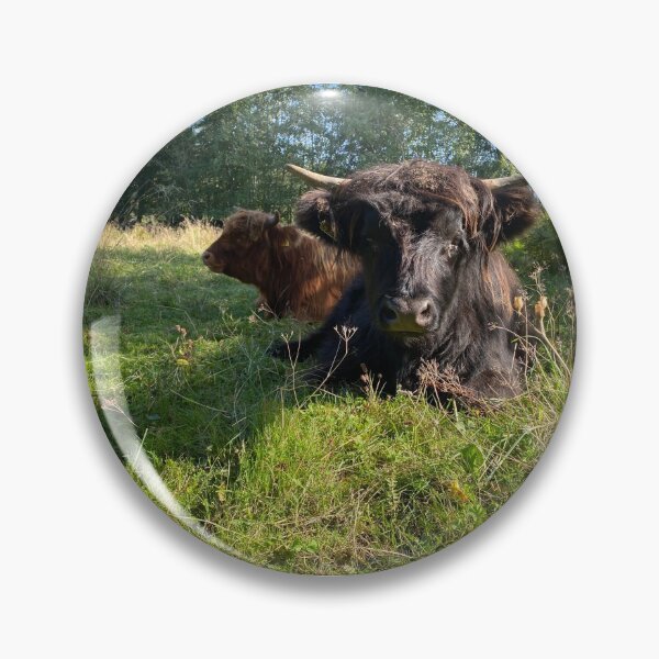 Artikelvorschau, Scottish Highland Cattle Calves 2964 entworfen und verkauft von SaarelaHighland.