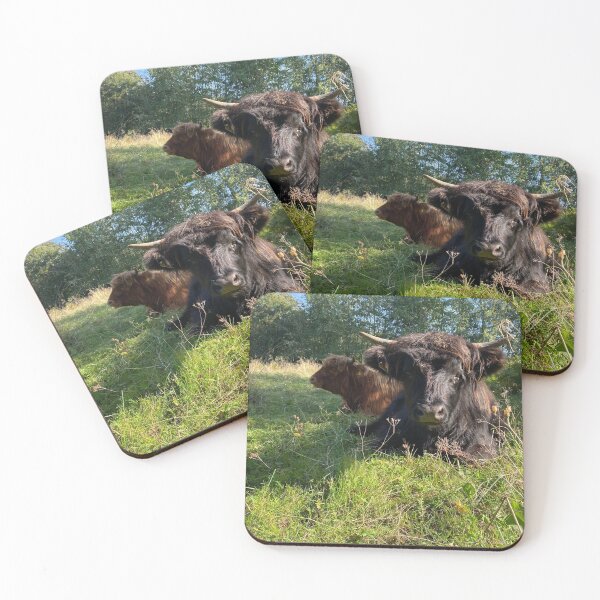 Item preview, Scottish Highland Cattle Calves 2964 designed and sold by SaarelaHighland.