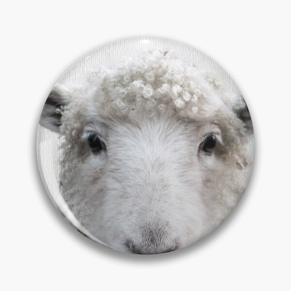 Artikelvorschau, Sheep entworfen und verkauft von Shawa Shop.