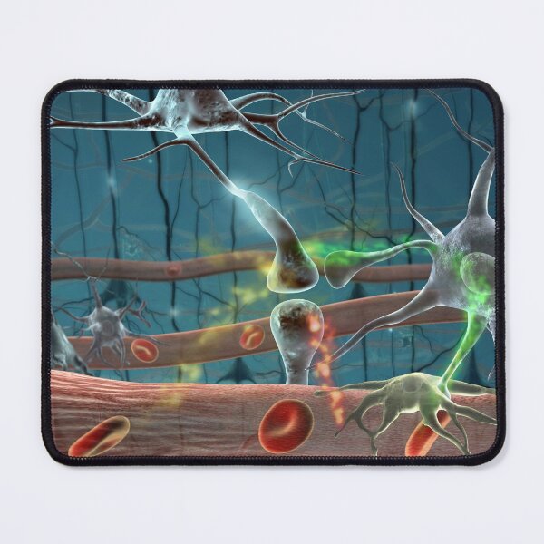 Item preview, Nervous System with Blood Cells and Neurons designed and sold by ScienceSource.