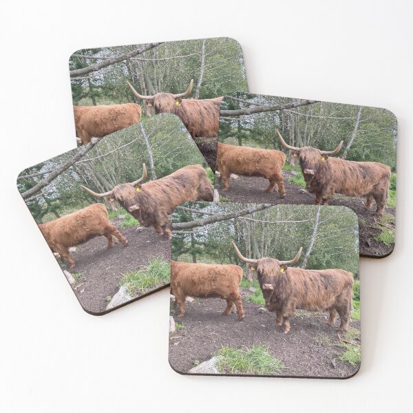 Item preview, Scottish Highland Cattle Cows 2966 designed and sold by SaarelaHighland.