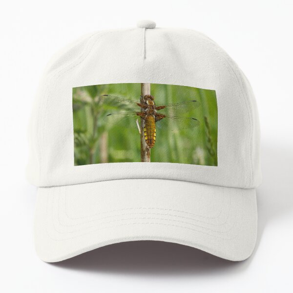 Female Broard Bodied Chaser Dragonfly Dad Hat