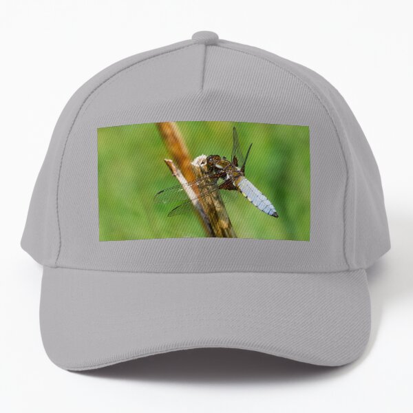 Male Broard Bodied Chaser Dragonfly Baseball Cap