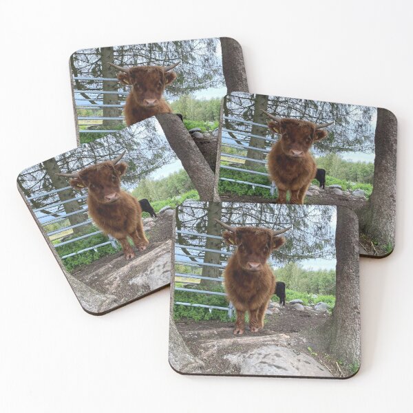 Item preview, Scottish Highland Cattle Calf 2967 designed and sold by SaarelaHighland.