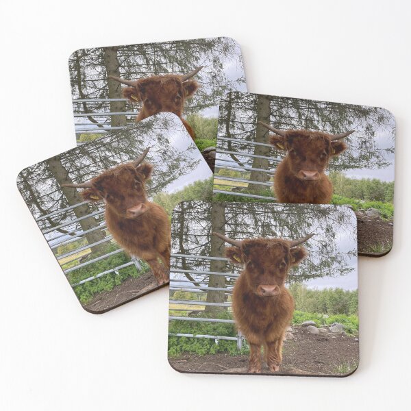 Item preview, Scottish Highland Cattle Calf 2968 designed and sold by SaarelaHighland.