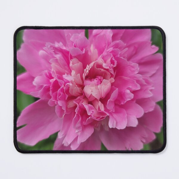 Item preview, Pink peonies in or yard designed and sold by David D. Shaw.