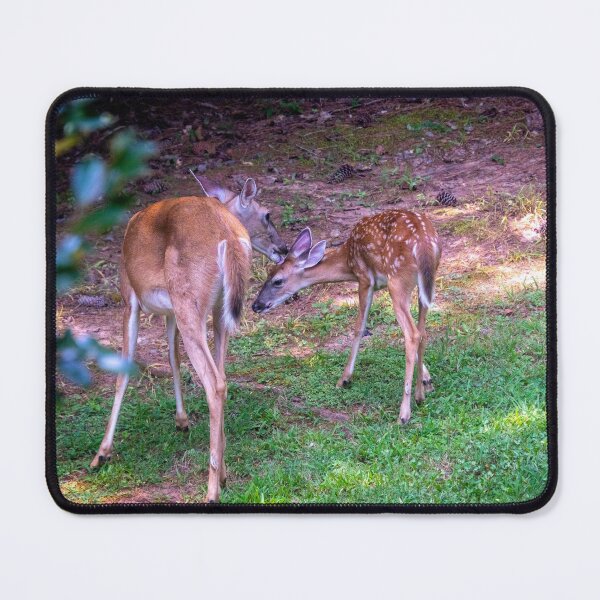 Item preview, Mother Doe Deer Kisses Baby Fawn designed and sold by SafariByMarisa.
