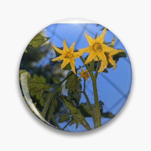 Item preview, Tomato in bloom designed and sold by Gryphon4227.