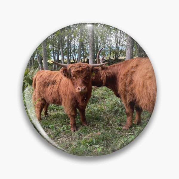 Item preview, Scottish Highland Cattle Cow and Calf in forest 2972 designed and sold by SaarelaHighland.