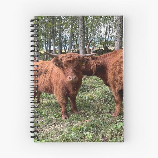 Item preview, Scottish Highland Cattle Cow and Calf in forest 2972 designed and sold by SaarelaHighland.