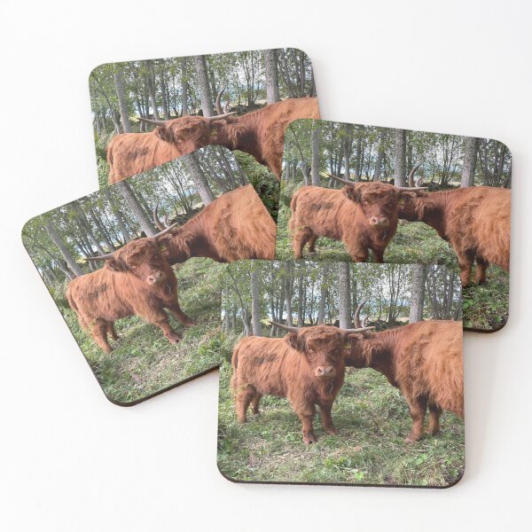 Item preview, Scottish Highland Cattle Cow and Calf in forest 2972 designed and sold by SaarelaHighland.