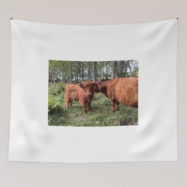 Item preview, Scottish Highland Cattle Cow and Calf in forest 2972 designed and sold by SaarelaHighland.
