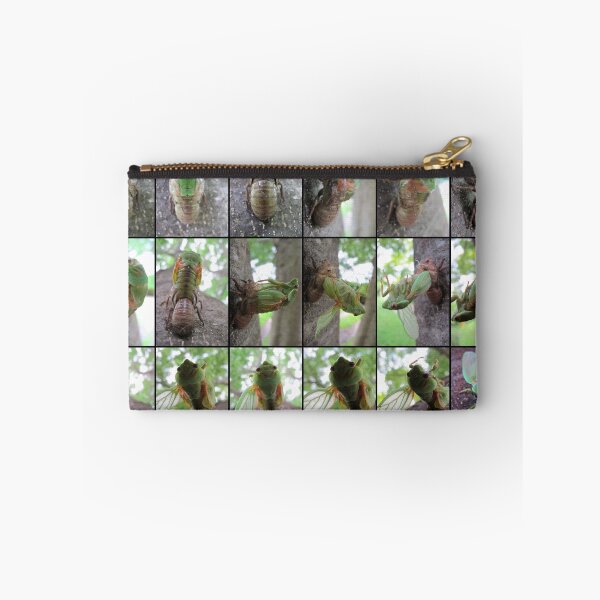 Item preview, Metamorphosis designed and sold by Kitsmumma.