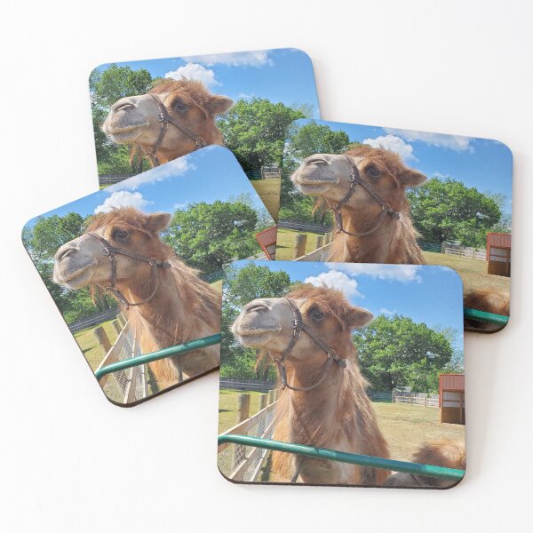 Item preview, Camel in sun designed and sold by Rattypanda.