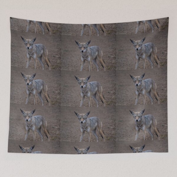 Item preview, coyote designed and sold by hitomimyhomie.