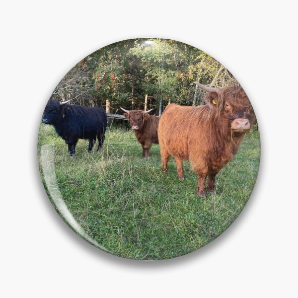 Artikelvorschau, Scottish Highland Cattle Calves 2974 entworfen und verkauft von SaarelaHighland.